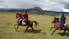 Ecuador-Highlands-Cotopaxi Horse Round Up in Ecuador